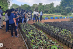Field Visit to the Plantation Nursery  2022