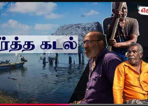 Sea Cucumber Documentary